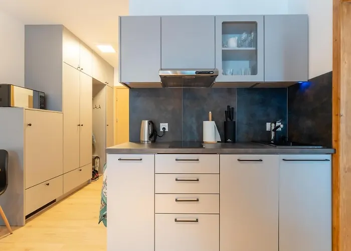 Apartment Reglowy Raj - Z Prywatnym Parkingiem By Spaceapart Schreiberhau